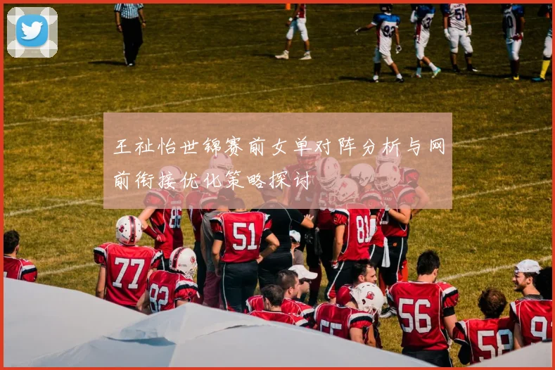 王祉怡世锦赛前女单对阵分析与网前衔接优化策略探讨